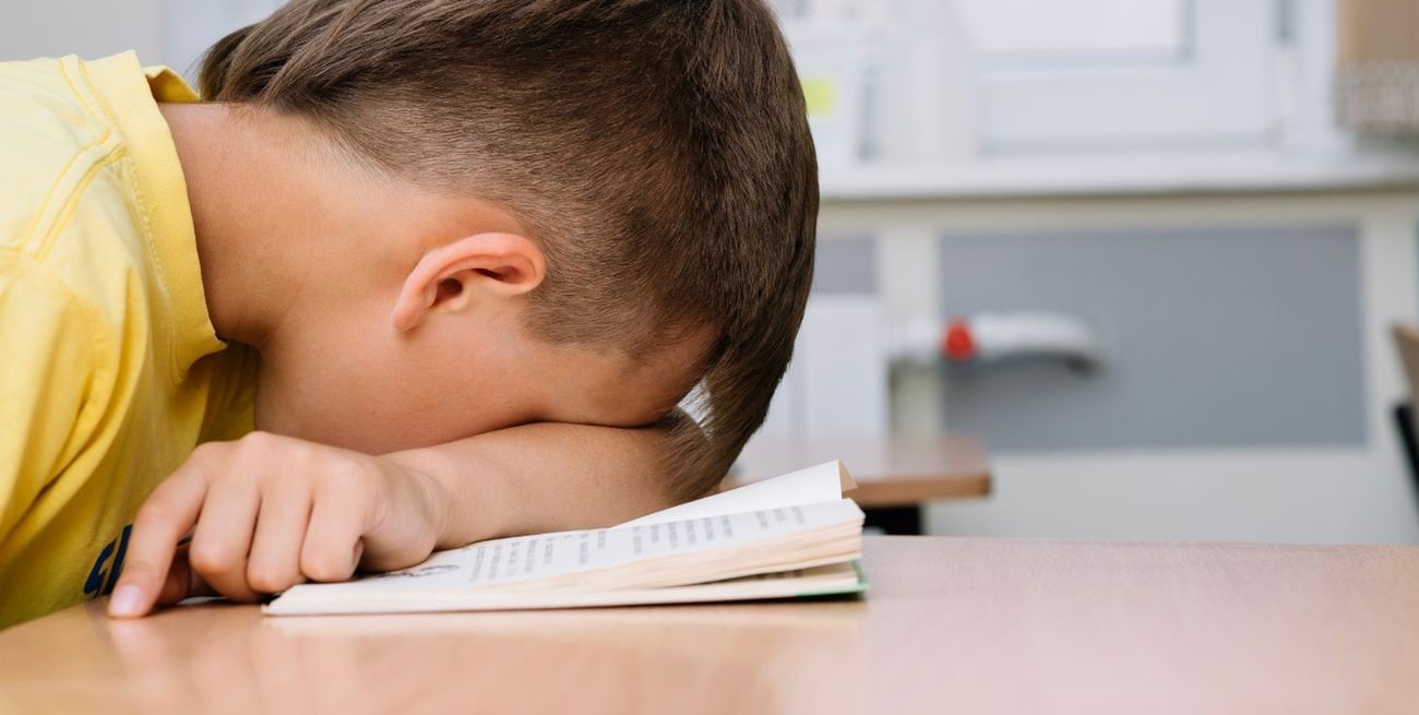 "No podemos perseguir a un hijo con su tarea, porque nunca se va a hacer cargo de ella, dejemos el espacio para que nos venga a buscar", propone Seitún. Crédito: El Litoral