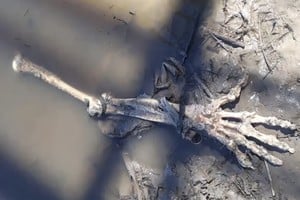 Encontraron restos óseos en el camino a Puerto Reconquista