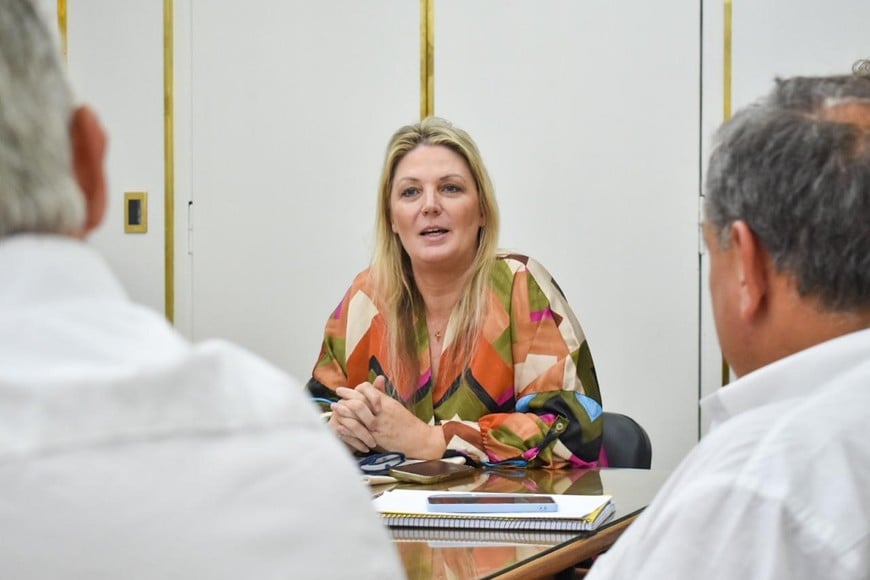 Secretaria de Energía de Santa Fe, Verónica Geese