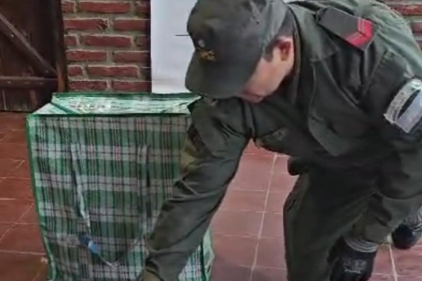 Los agentes descubrieron una cantidad considerable de cocaína