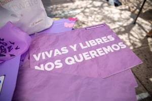 El fiscal Martín Castellano señaló que los hechos "se enmarcaron en un claro contexto de violencia de género". Crédito: Archivo El Litoral.