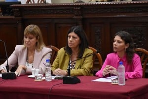 Clara García advirtió sobre la situación “inédita” que atraviesan la educación superior y la investigación a nivel nacional.