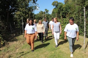 El lúpulo y su cultivo sigue creciendo.