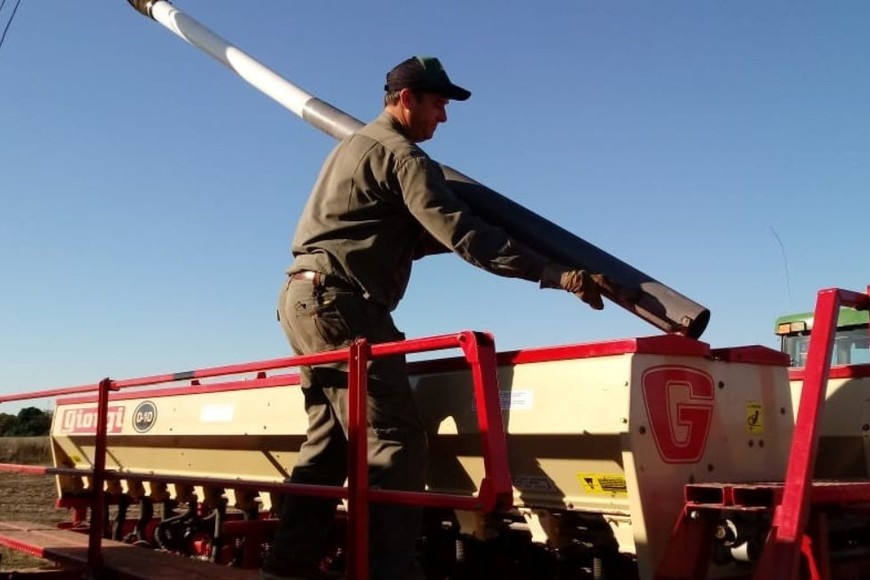 La siembra requiere inversiones para pagar insumos que padecen inflación en dólares. Pero el dólar con el que se liquidan las cosechas no aumenta. Esa es la cuestión.