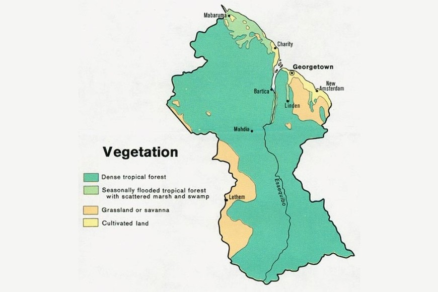 Vegetación del territorio de Guyana.