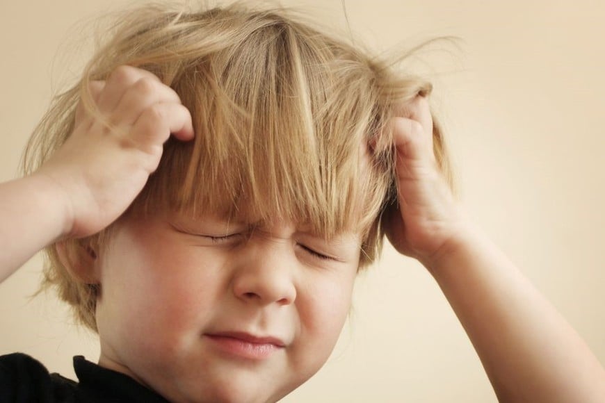 Los padres deben estar atentos a los signos de infestación, como el constante rascado del cuero cabelludo por parte de los niños.