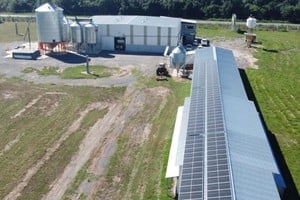 Techo solar. Los paneles aportan el 100% de la energía de la granja ubicada en ruta nacional N° 11 km 525 en Llambi Campbell.
