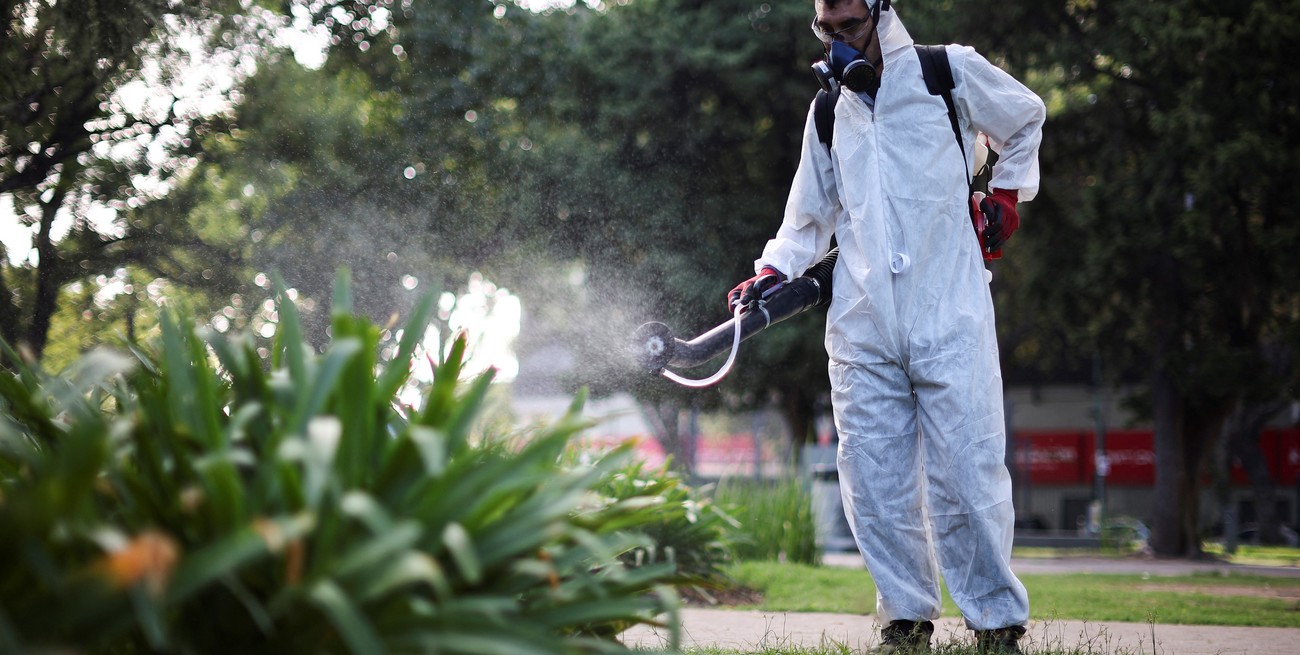Dengue: Argentina ya registró 230 mil casos y 161 muertos