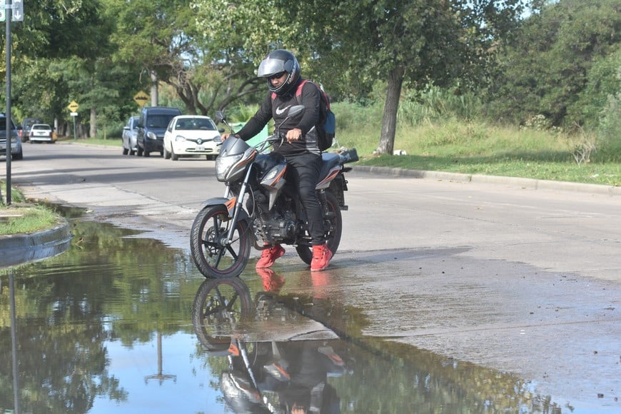Nauseabundo. En la imagen no se pude narrar el olor espantoso que hay en el ambiente.  Mauricio Garín.