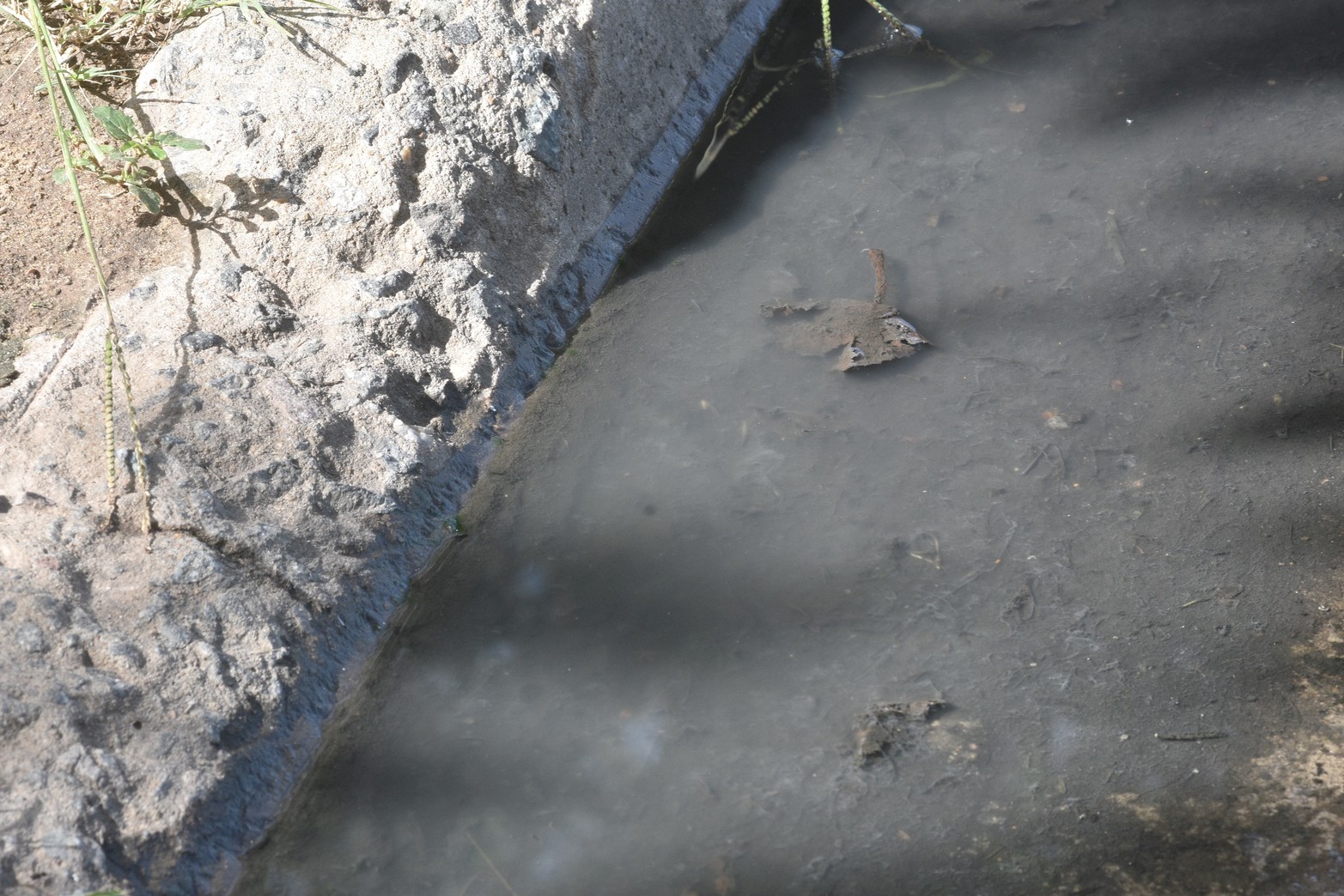 Lleva tiempo. En el cordón cuneta se puede ver que el derrame de liquido cloacal lleva tiempo.