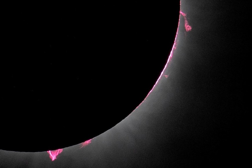 Solar prominences are seen during a total solar eclipse in Dallas, Texas, U.S., April 8, 2024. NASA/Keegan Barber/Handout via REUTERS ATTENTION EDITORS - THIS IMAGE HAS BEEN SUPPLIED BY A THIRD PARTY. MANDATORY CREDIT     TPX IMAGES OF THE DAY