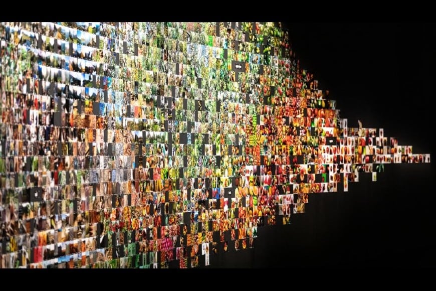 Trevor Paglen, “From ‘Apple’ to ‘Anomaly’”.