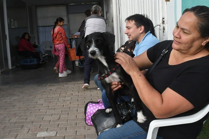 “La sociedad cambió y hoy un animal de compañía, sin lugar a dudas, es muy importante para las personas”, destacó el intendente Poletti. Foto: Flavio Raina