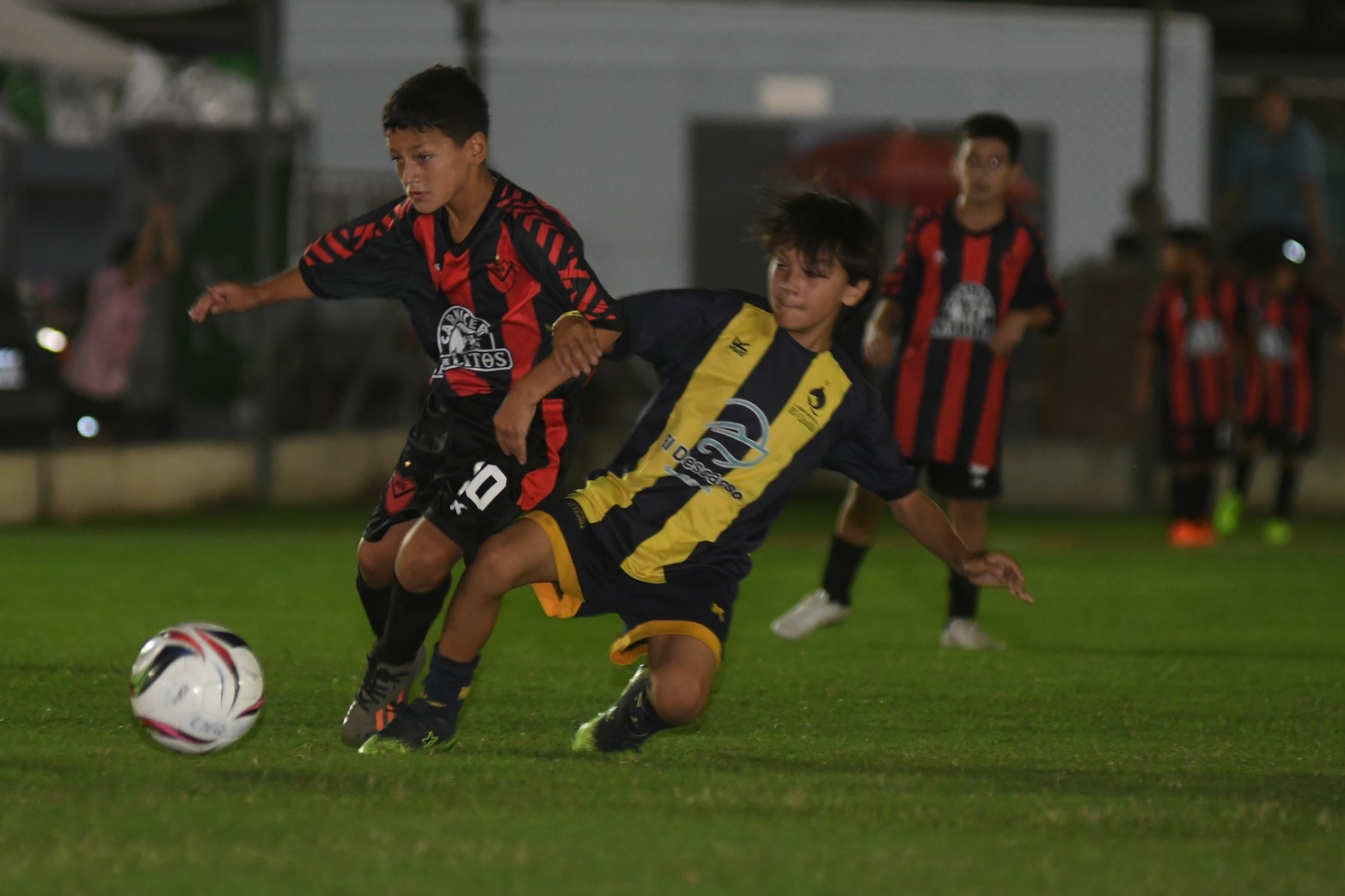 Torneo fútbol infantil Tiburoncito inspira a los futuros semilleros