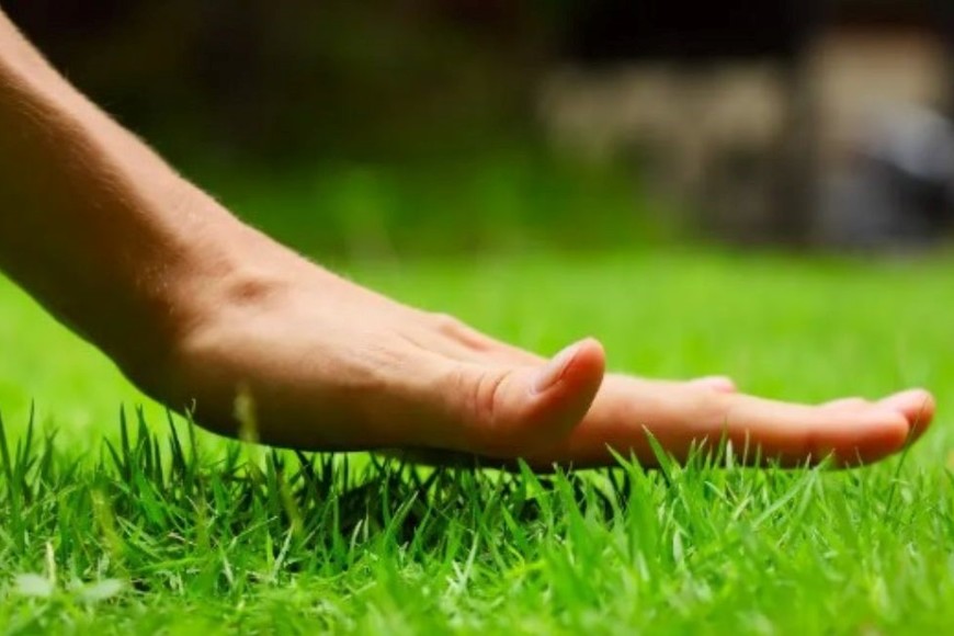 La altura de corte de césped depende del uso, las condiciones climáticas y otros factores.