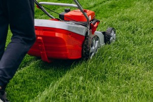 En busca de prácticas más sustentables, el nivel de corte recomendado para el césped cambió en los últimos años.