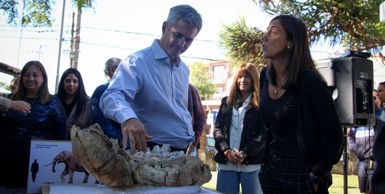 Restituyen a una localidad santafesina restos fósiles de una ballena encontrada en el Río Paraná