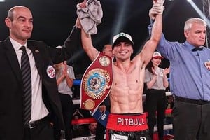 Manos arriba, una sana costumbre del Pitbull galvense.