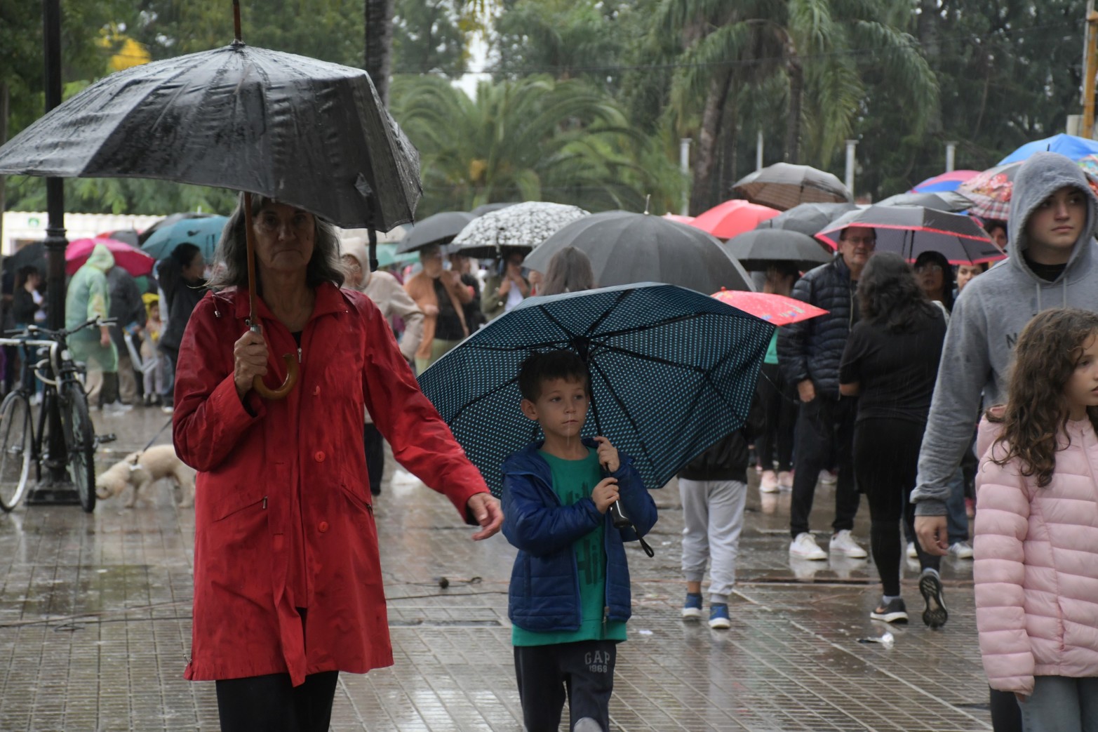 Multitudinaria peregrinación