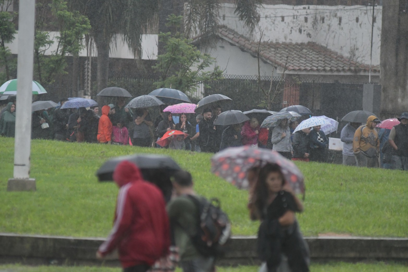 Mientras tantos, larga cola esperando para ingresar
