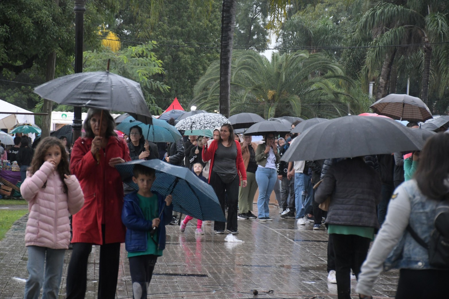 Multitudinaria peregrinación