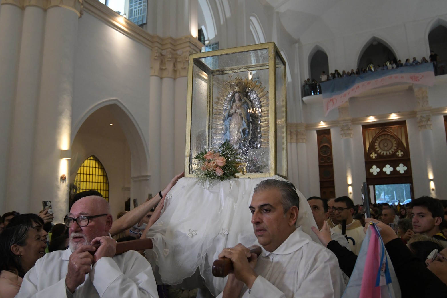 Todos los celulares para las fotos