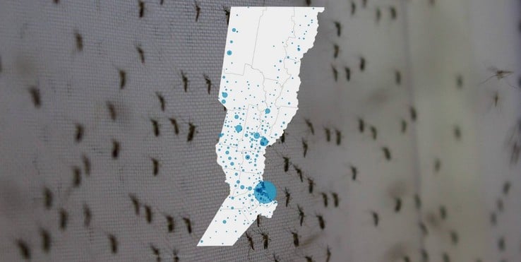 Dengue en Santa Fe: cuáles son las localidades más afectadas 