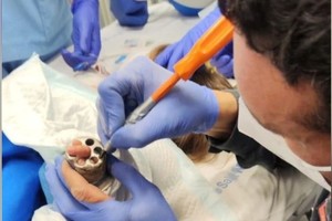 Las cosas pasan cuando nadie se lo espera. Por tanto, las vacantes que primero se deben cubrir son las de los hospitales. A todos nos conviene que sea así.