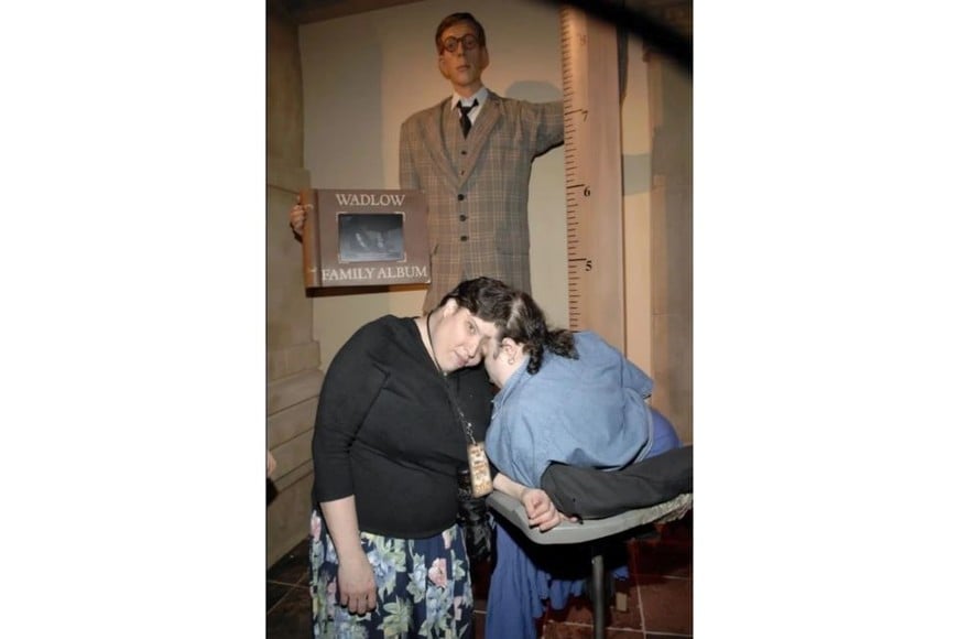 Formaron parte del libro de Guinness World Records.