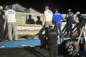 Un grupo de peritos examinó y realizó un "análisis preliminar de los cuerpos"