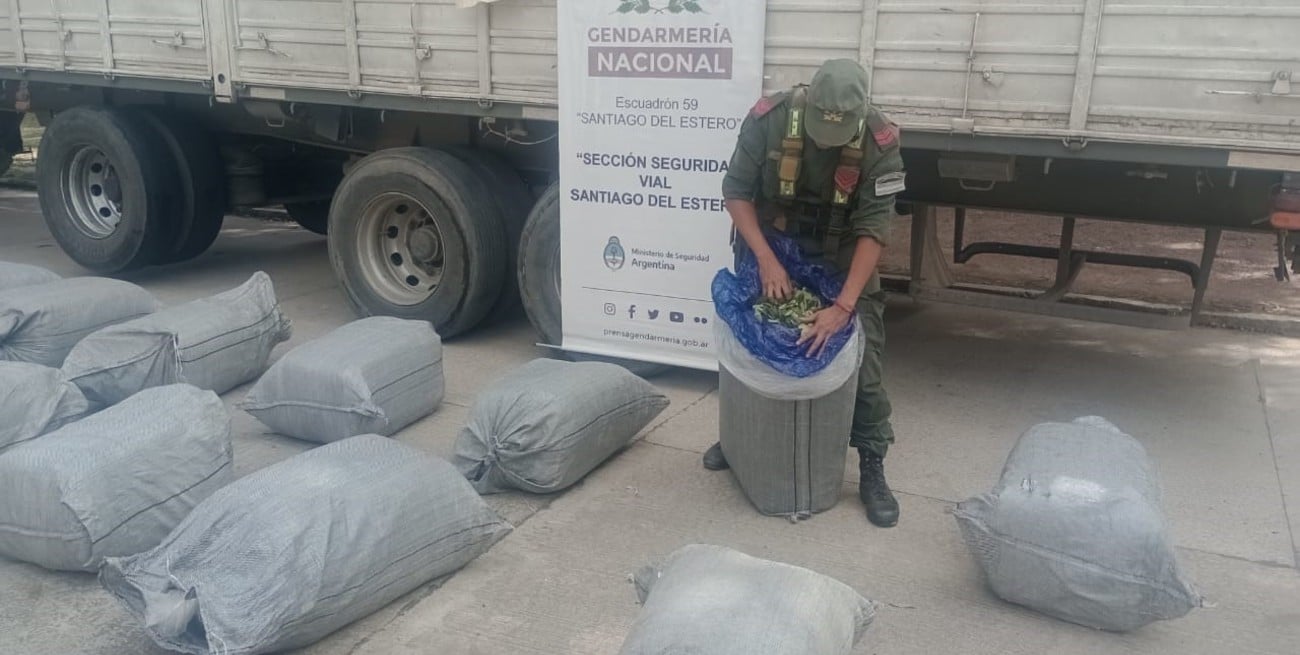 "Azúcar amargo": incautaron casi 900 kilos de hojas de coca en un cargamento 