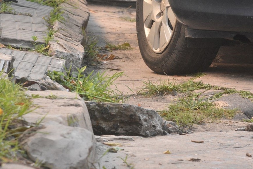 Foto: Mauricio Garín