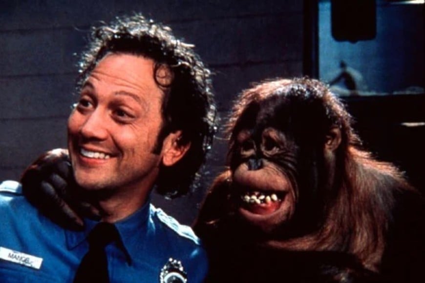 rob schneider