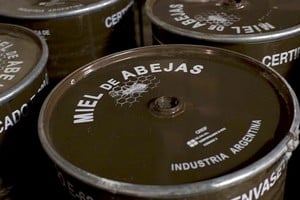 Los costosos tambores de chapa para transportar miel. 