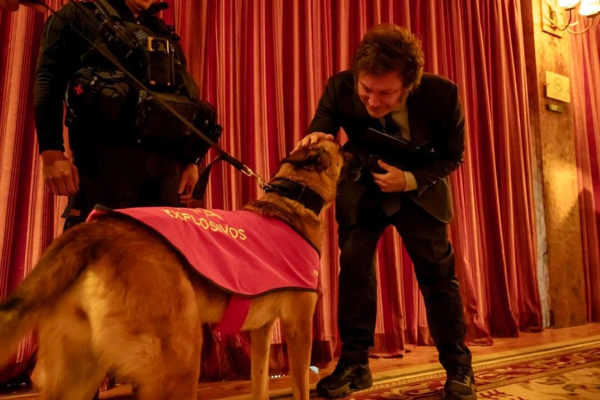 El presidente acarició a uno de los perros de la Policía Federal Argentina, perteneciente a la brigada antiexplosivos. Crédito: NA