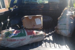 Las aves fueron secuestradas, ya sin posibilidad de uso alimenticio. Fotos Unidad Regional XV