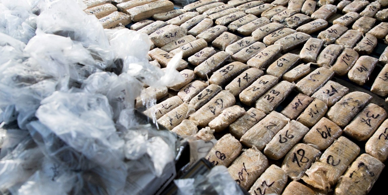 Lucha contra el narcotráfico: quemaron 650 kilos de estupefacientes en Tigre