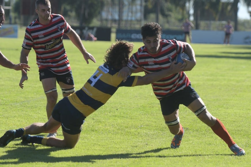 rugby cetraro