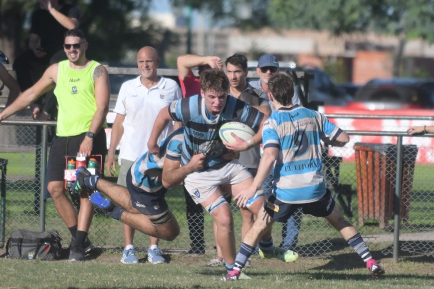 rugby cetraro