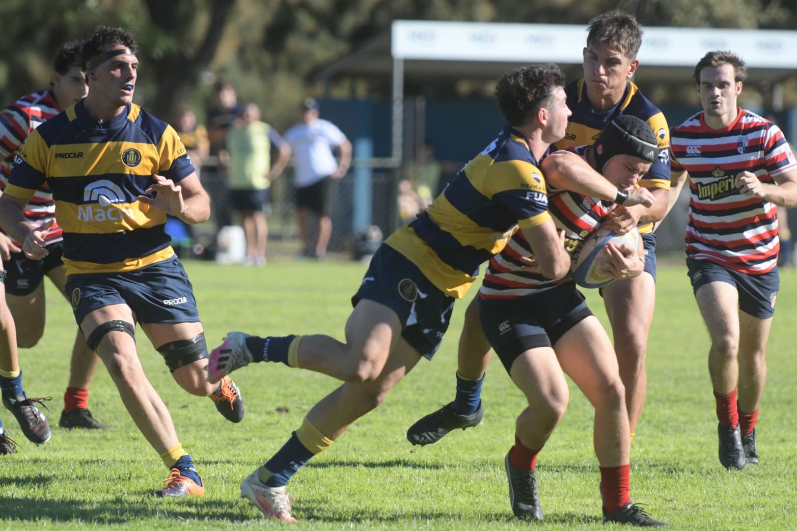 [Galería] Santa Fe Rugby fue superior a GER y se quedó con partido ...