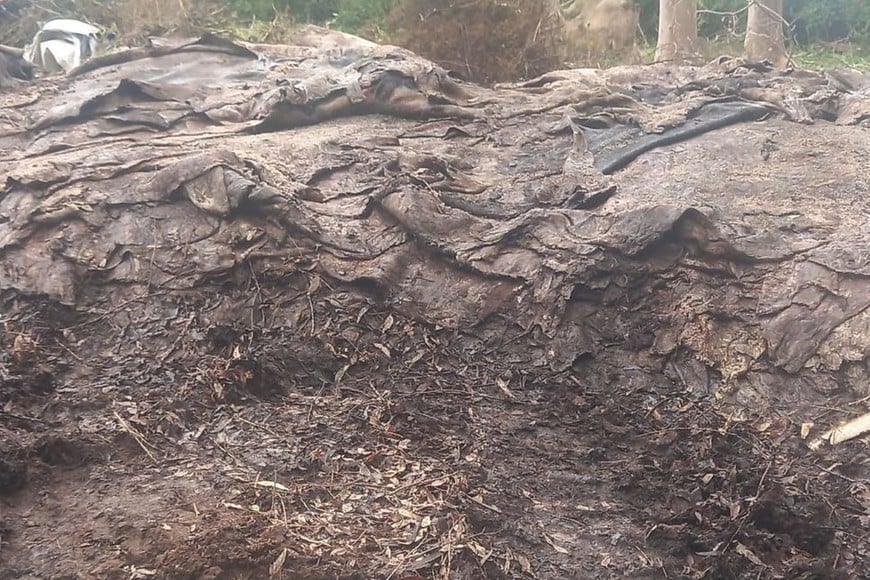 Foto: Unidad Regional XV