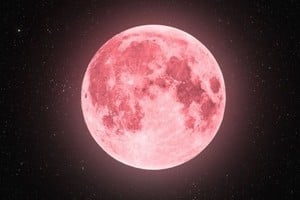 La denominación “luna llena rosa” se remonta a tiempos ancestrales.