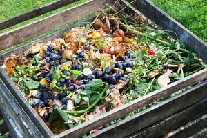 "Además esta semana firmamos una ordenanza donde se premiará a quien haga compostaje domiciliario. Los vecinos que se sumen a este programa tendrán un descuento del 50% en el servicio de recolección de residuos”, señaló el titular del Ejecutivo local.