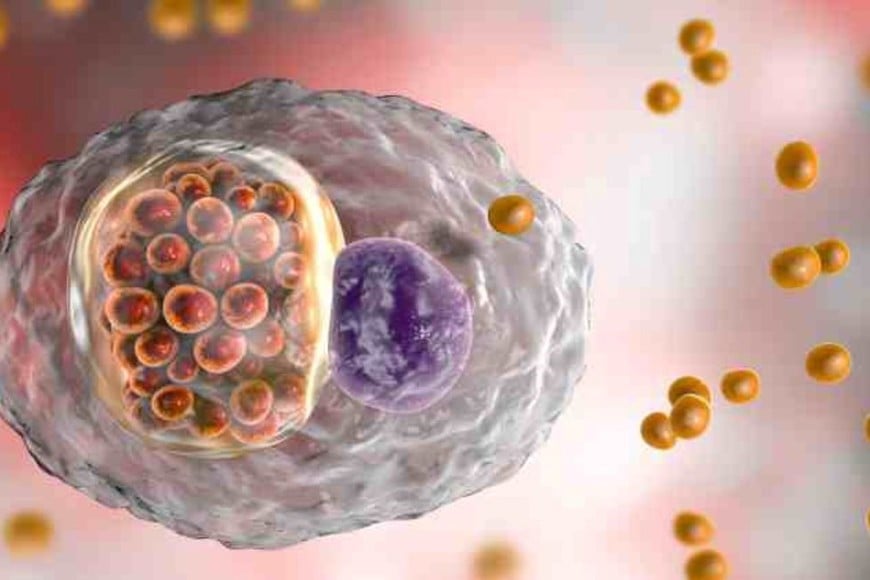 Vigilancia epidemiológica adecuada e informar a los equipos médicos sobre la detección temprana.