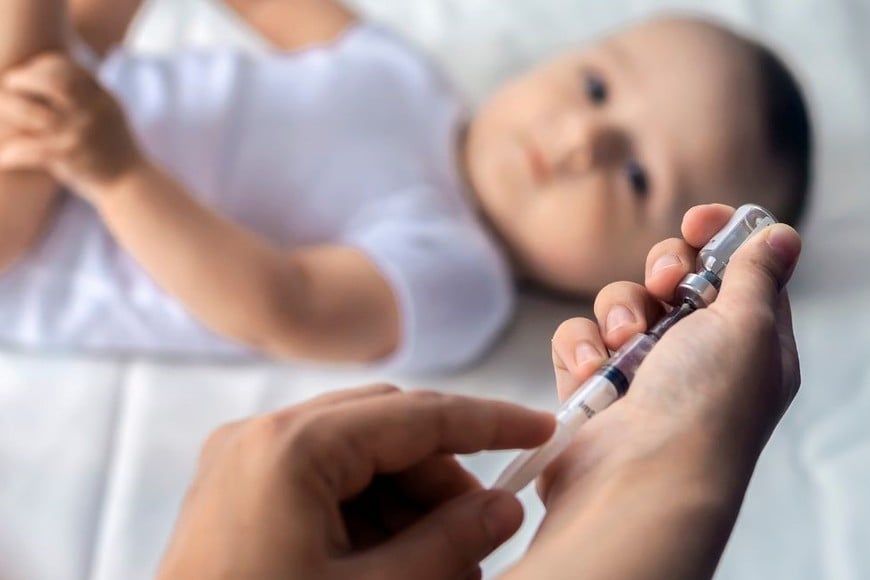 Los padres, tutores y representantes legales de niños, niñas, adolescentes o personas incapaces tienen la responsabilidad de garantizar su vacunación.