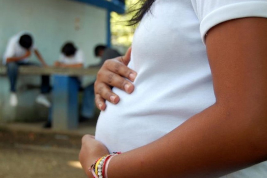 La discontinuidad del plan ENIA que se orienta a la prevención de embarazo adolescente e infantil, es una de las prioridades en la agenda de la Defensoría de Niñas, Niños y Adolescentes.