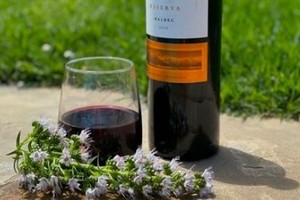 "Primera vez con vino real", publicó la princesa del pop.