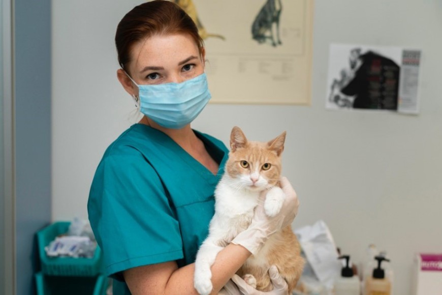 La medicina veterinaria vista desde varios enfoques resulta fundamental para la prevención de muchas enfermedades transmitidas por los animales y que afectan a los seres humanos.