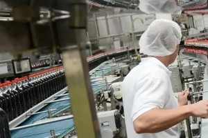 Un estudio sobre casi dos millones de residuos plásticos mostró que la mitad de ellos no tenía marcas que permitieran identificar su origen.