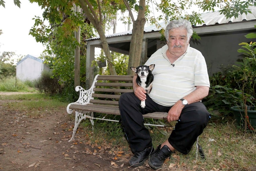 Uruguay's President Jose Mujica pose for a picture with his dog Manuela after an interview with Reuters in his farm in the outskirts of Montevideo, February 25, 2015. Mujica, a former leftist guerrilla, known around the world for his folksy demeanor and groundbreaking initiatives such as the cultivation and sale of marijuana, will hand over the presidency to his successor, Tabare Vazquez, on Sunday, March 1, 2015. Mujica has become a symbol of modest living and spurned the presidential palace throughout his term in office to continue living in his ramshackle farmhouse.   REUTERS/Andres Stapff (URUGUAY - Tags: POLITICS) uruguay jose mujica presidente de uruguay entrevista en su casa